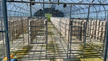 KakaoTalk_20211010_172143770_07.jpg